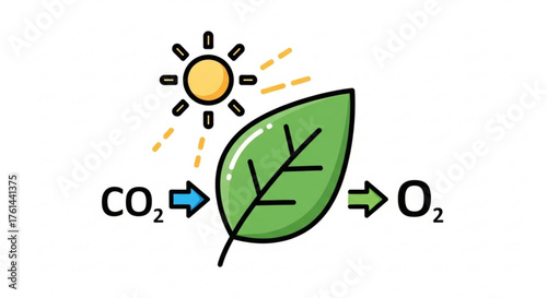 Illustration of photosynthesis process: carbon dioxide entering a green leaf under sunlight, producing oxygen.