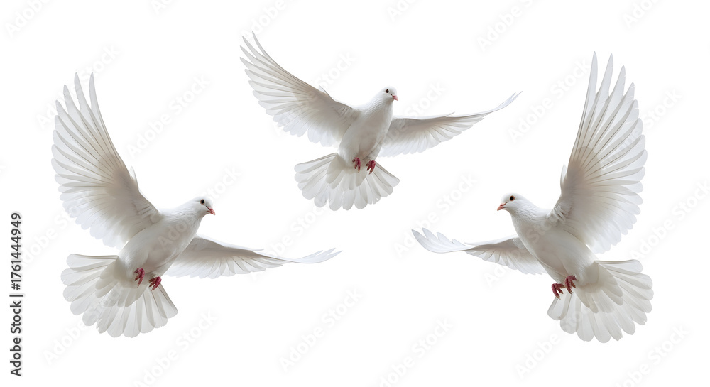 Fototapeta premium Flying White Doves Peace Symbol Bird Freedom Wings Spirituality Hope Concept