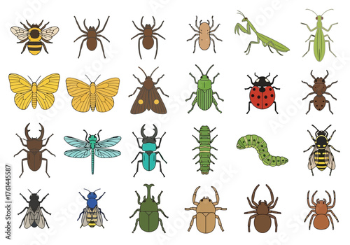 Vector illustration of collection of various insects