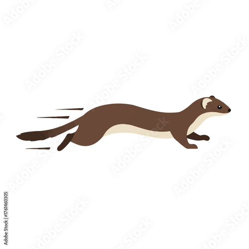 A brown and white weasel running with motion lines