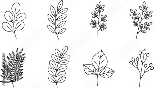 Collection of delicate botanical line art elements, perfect for elegant design accents.
