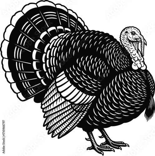 Majestic turkey with fanned tail feathers, a symbol of autumn and harvest.