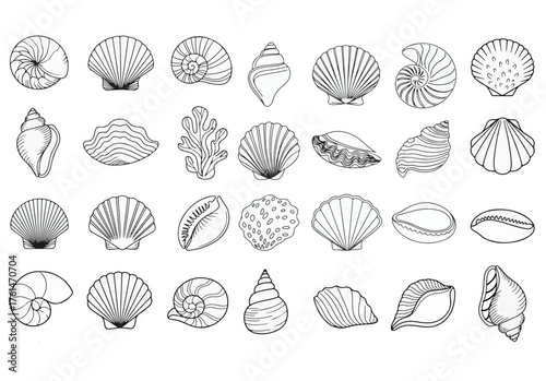 An exquisite collection of detailed black and white line art illustrations, featuring a diverse array of natural seashells and marine life, perfect for aquatic and coastal design projects