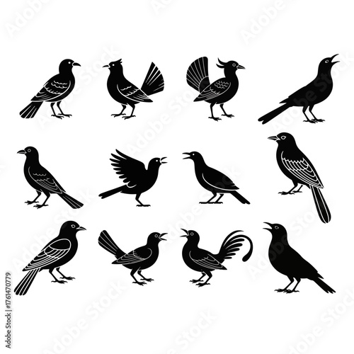 Collection of black bird silhouettes Diverse avian illustrations for nature, wildlife, and design projects, perfect for icons