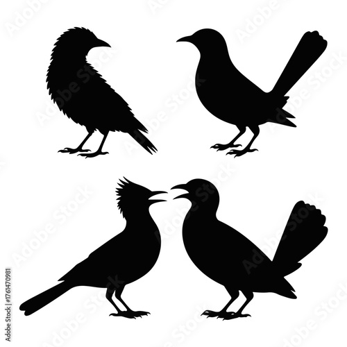 Bird Silhouettes A Collection of Avian Black Shapes on White Background for Creative Projects and Designs