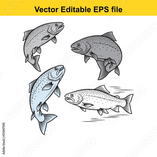 Vector art of four stylized salmon fish in various poses, isolated on a, vector illustration