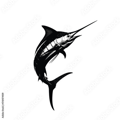 Vector illustration of black and white marlin jumping