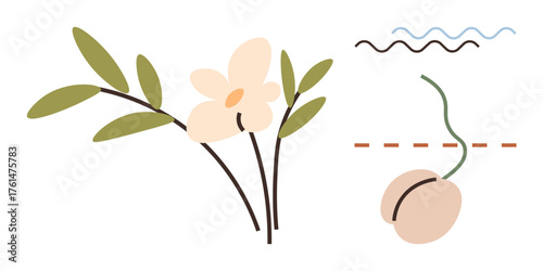 Flower with green leaves, wavy and dashed lines, and single seed. Ideal for nature, growth, sustainability, simplicity, beauty harmony design. A clean simple flat metaphor
