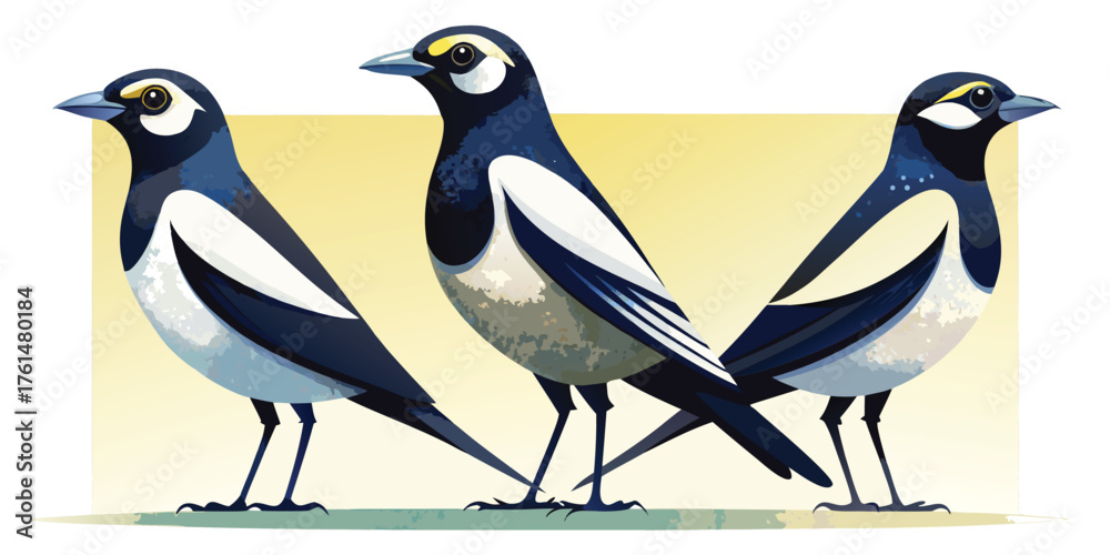 Naklejka premium Three eurasian magpielarks standing proudly vector illustration art, birds collection