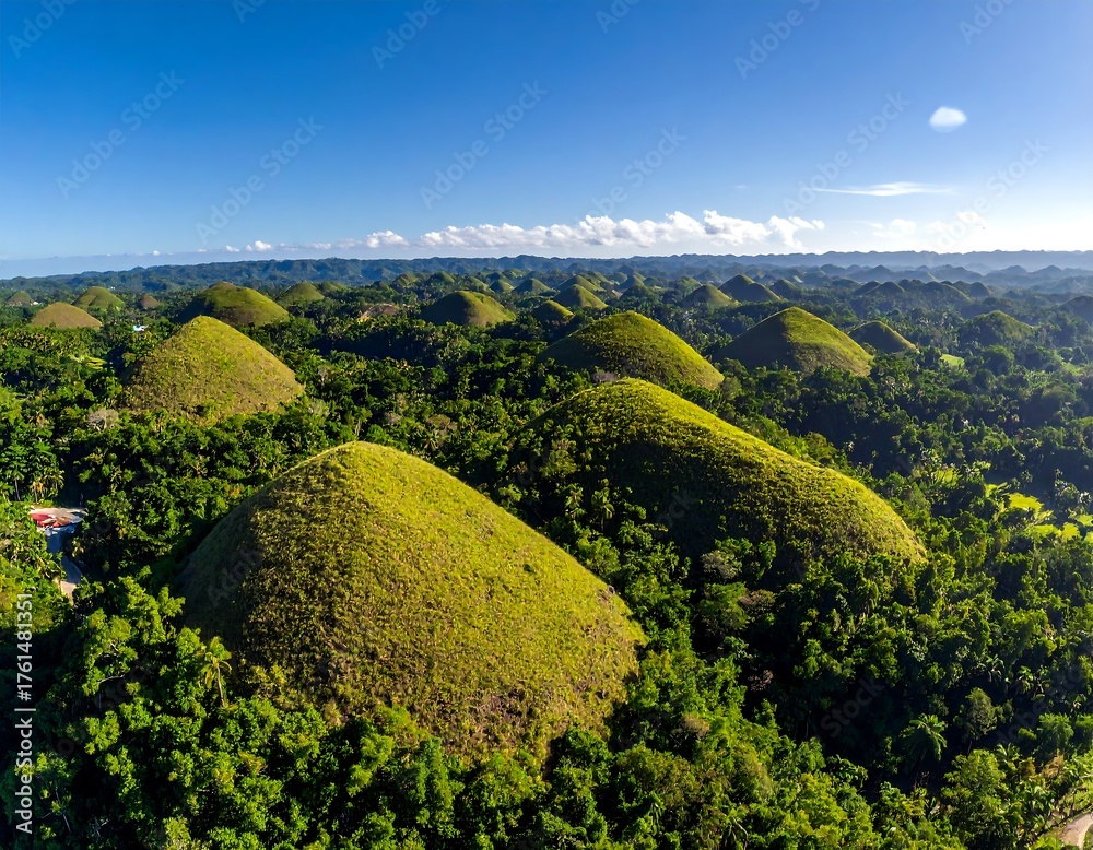 Fototapeta premium Aerial shot of unique, verdant, cone-shaped hills under a clear blue sky