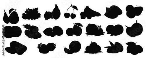 collection of various kinds of fruits illustration 