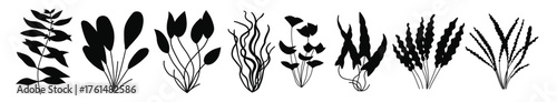 Cute cartoon aquarium seaweeds set