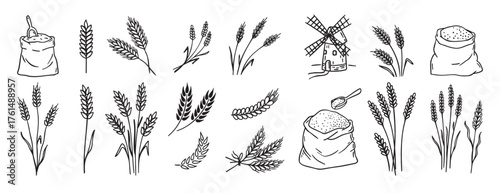 wheat and cereal plants, rye barley and ears of wheat in bag doodle hand drawn icon set. Outline drawing ears of wheat line clipart symbol collection