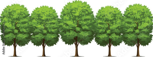 Green trees landscape, summer foliage design, nature background vector, park vegetation illustration, garden environment art, cad drawing flat vector illustration, natural forest concept