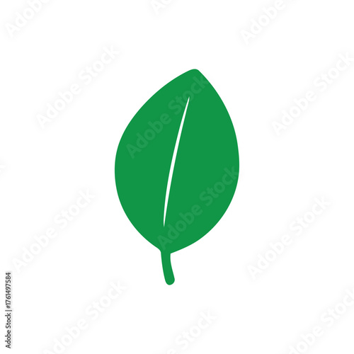 leaf, green, nature, plant, foliage, organic, growth, environment, ecology, simple, icon, symbol, design, graphic, isolated, object, health, fresh, natural, botanical, spring, summer, clean, minimalis