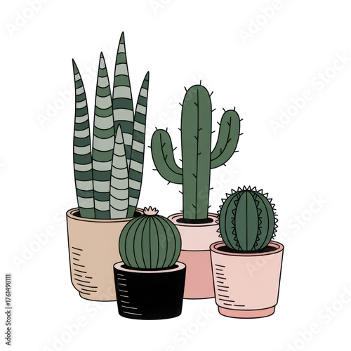 3d rendered illustration of various potted cacti and succulent plants with intricate textures and detailed forms isolated on transparent background