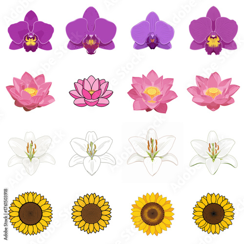 A vibrant collection of illustrated flowers featuring orchids, lotuses, lilies, and sunflowers in various styles.