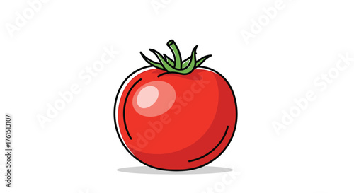 A ripe red tomato sits on a white background casting a subtle shadow.