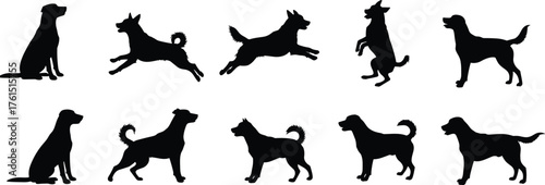 Dog silhouettes, pet poses, canine posture art, sitting standing jumping, animal lifestyle design, domestic dog concept, pet illustration, motion study