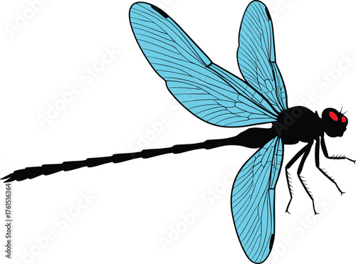 Dragonfly illustration, detailed insect drawing, blue wing anatomy, red eyes, entomology art, biological study, nature design, educational insect figure