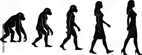 Human evolution silhouettes, ape to modern woman, biology concept, anthropology illustration, science education art, generational development, evolutionary timeline design