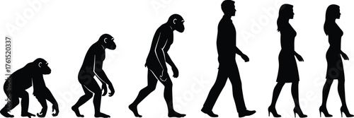 Human evolution silhouettes, ape to modern man and woman, biology concept, anthropology illustration, science education art, generational development design