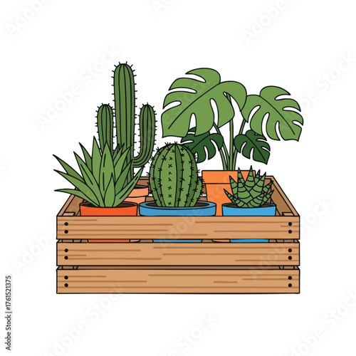 Potted cacti and succulents in a wooden crate.