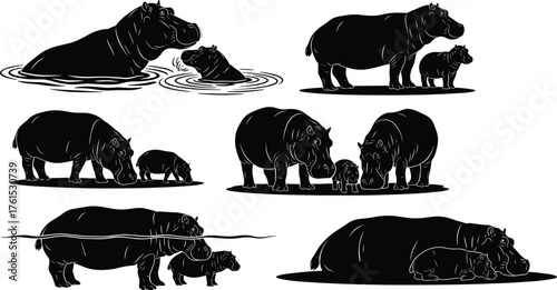 Hippo family silhouettes swimming, walking, and resting together in nature, detailed wildlife animal illustration showing parent and baby bond, cad drawing flat vector illustration