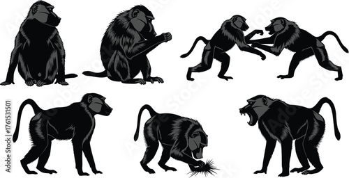 Collection of baboon silhouettes showing different actions, sitting, fighting, roaring, detailed wildlife behavior illustration, animal study artwork, cad drawing flat vector illustration