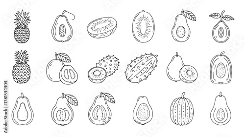 Fresh tropical fruits illustrated in a charming hand-drawn sketch style
