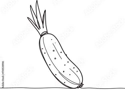 Simple line drawing of a fresh cucumber with leaves