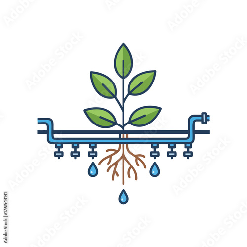 of a plant with roots and a drip irrigation system.