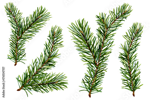Fotografie PNG Watercolor hand drawn set of green spruce twigs on transparent background