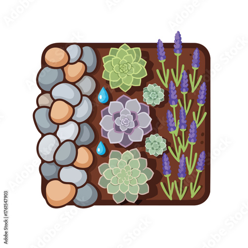A potted garden with succulents, lavender, rocks, and water drops.