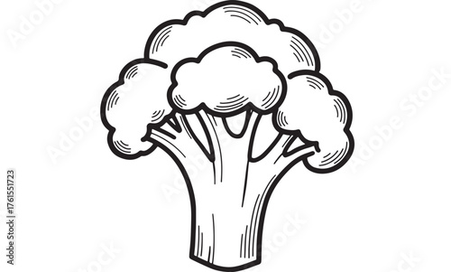 Simple line art illustration of a fresh broccoli head on a white background