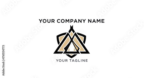 Modern Geometric Logo Design with Shield and Triangle Elements.