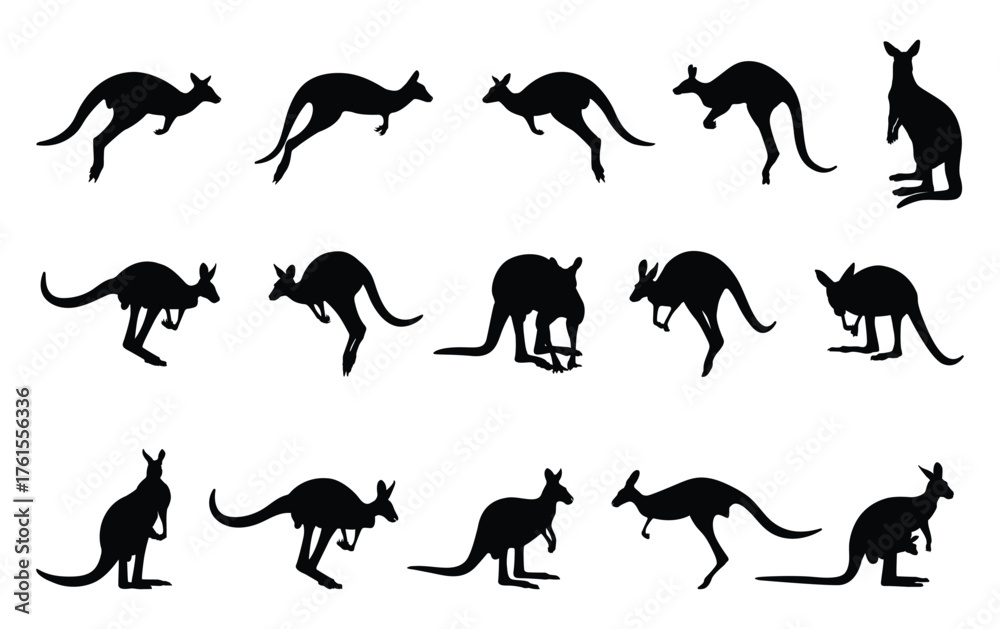 Fototapeta premium Kangaroo silhouette set, vector illustration.