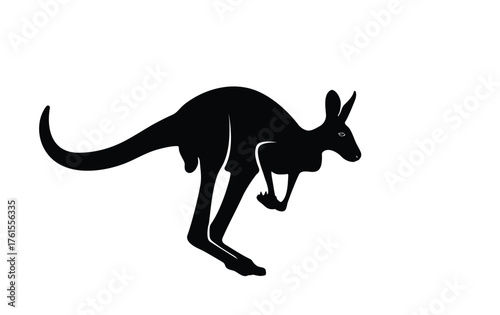 Male Kangaroo Illustration Vector