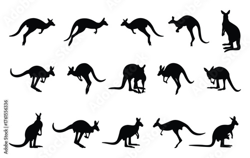 Kangaroo silhouette set, vector illustration.