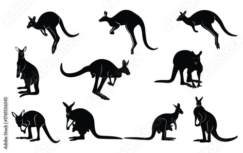 Silhouette of a herd of kangaroos in various poses. Vector illustration.