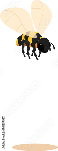 Cartoon honey bee flying and casting a shadow, isolated on a white background