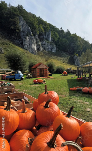 Tableau sur toile Idyllic pumpkin patch beneath towering cliffs, a whimsical tableau of autumn's e