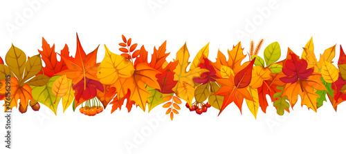 Autumn foliage seamless vector border with red, orange, yellow, brown and green oak, maple, birch and rowan leaves combined with acorns and berries. Autumn fall season decoration, foliage garland