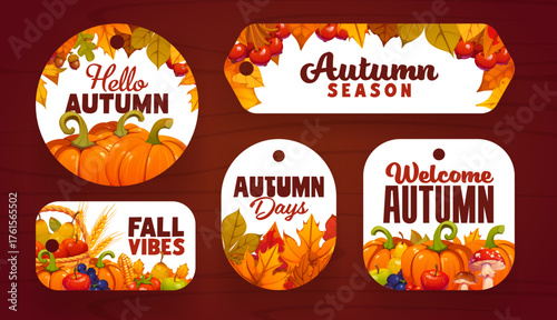 Thanksgiving sale and seasonal discount tag labels with ripe pumpkins, fruits, vegetables and corn cobs. Autumn leaves and berries for Thanksgiving advertising, retail discount and vector store tags