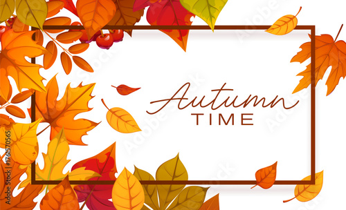 Autumn poster or greeting card with fall leaves and border frame of orange, red and yellow oak, maple and birch seasonal foliage. Autumn time season vector banner with frame of maple and oak leaves