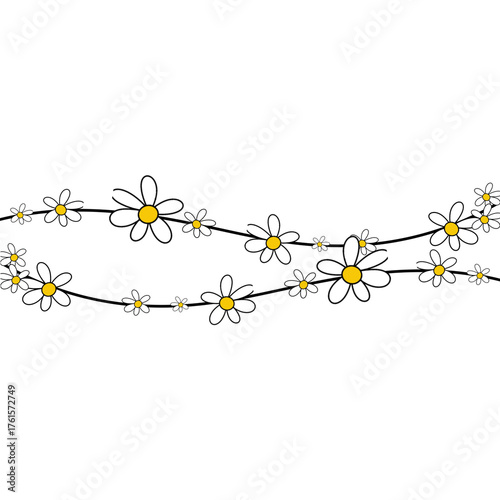 Daisy