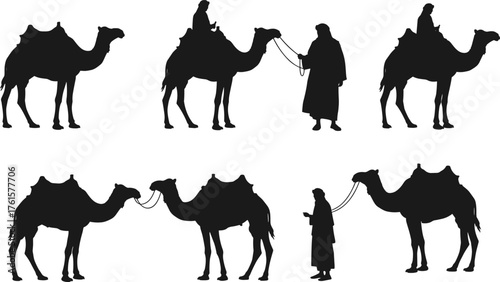 Silhouette of camel caravan with riders and desert nomads, traditional Arabian culture, travel journey, wilderness adventure, desert lifestyle illustration, vector
