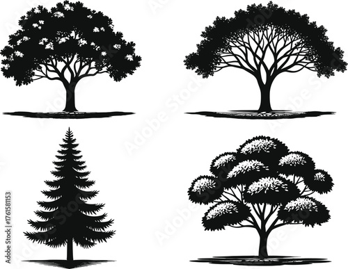 Silhouette Vector Set of Four Distinct Tree Shapes Including Coniferous, Broadleaf, and Bushy Foliage for Nature and Landscape Design