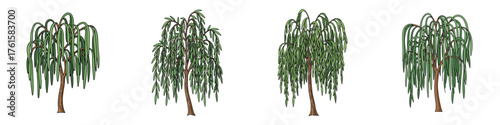 Four stylized illustrations of weeping willow trees with green leaves and brown trunks on a white background, depicted in a row.