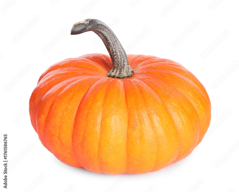 Obraz premium One whole ripe pumpkin isolated on white